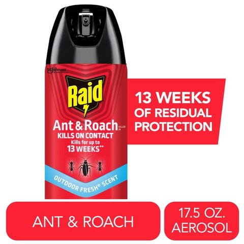 Raid Ant & Roach Killer 26, Outdoor Fresh Scent, (17.5 oz)