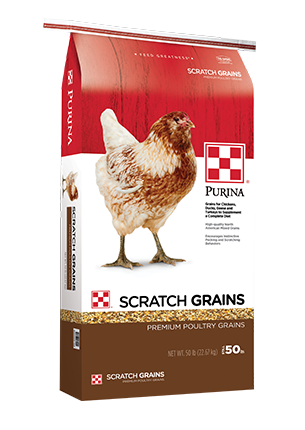Purina Scratch Grains