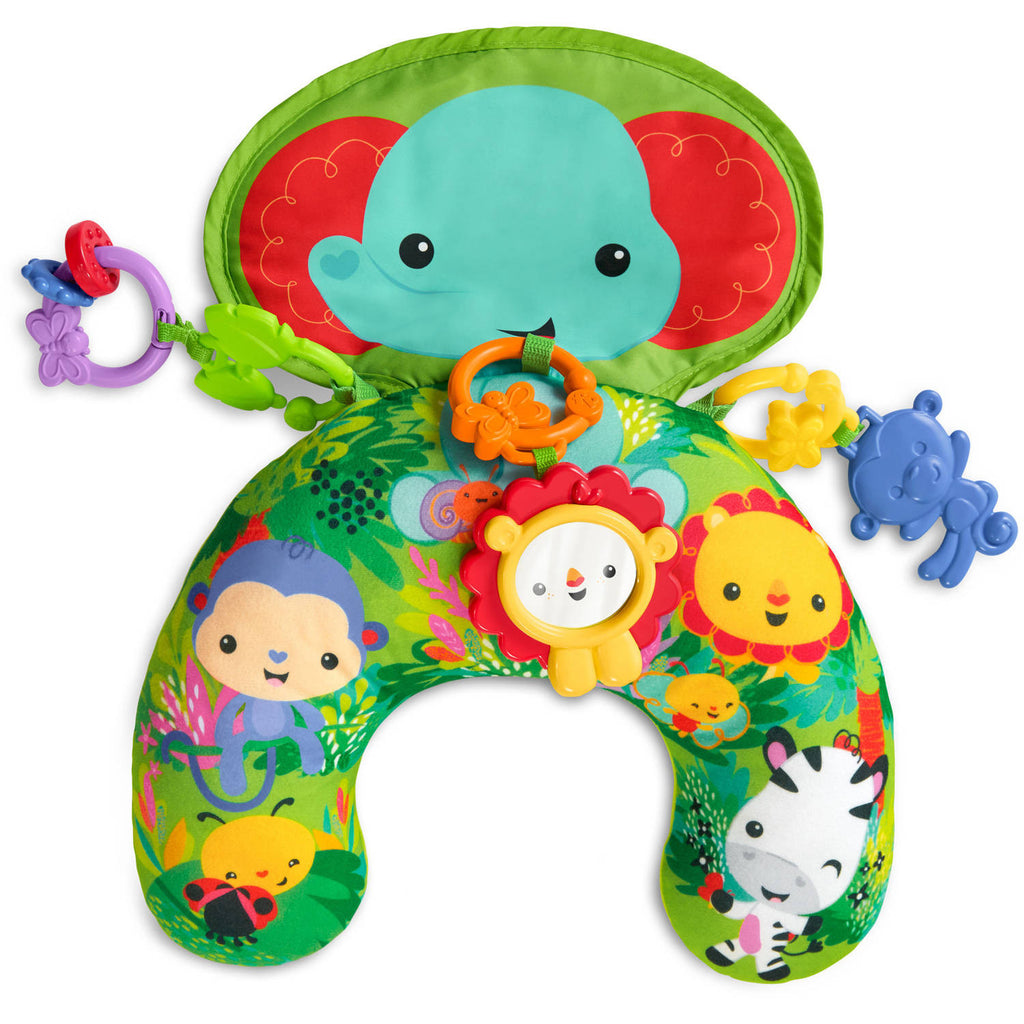 Fisher Price Playtime Tummy Wedge – Island Cooler Delivery Service
